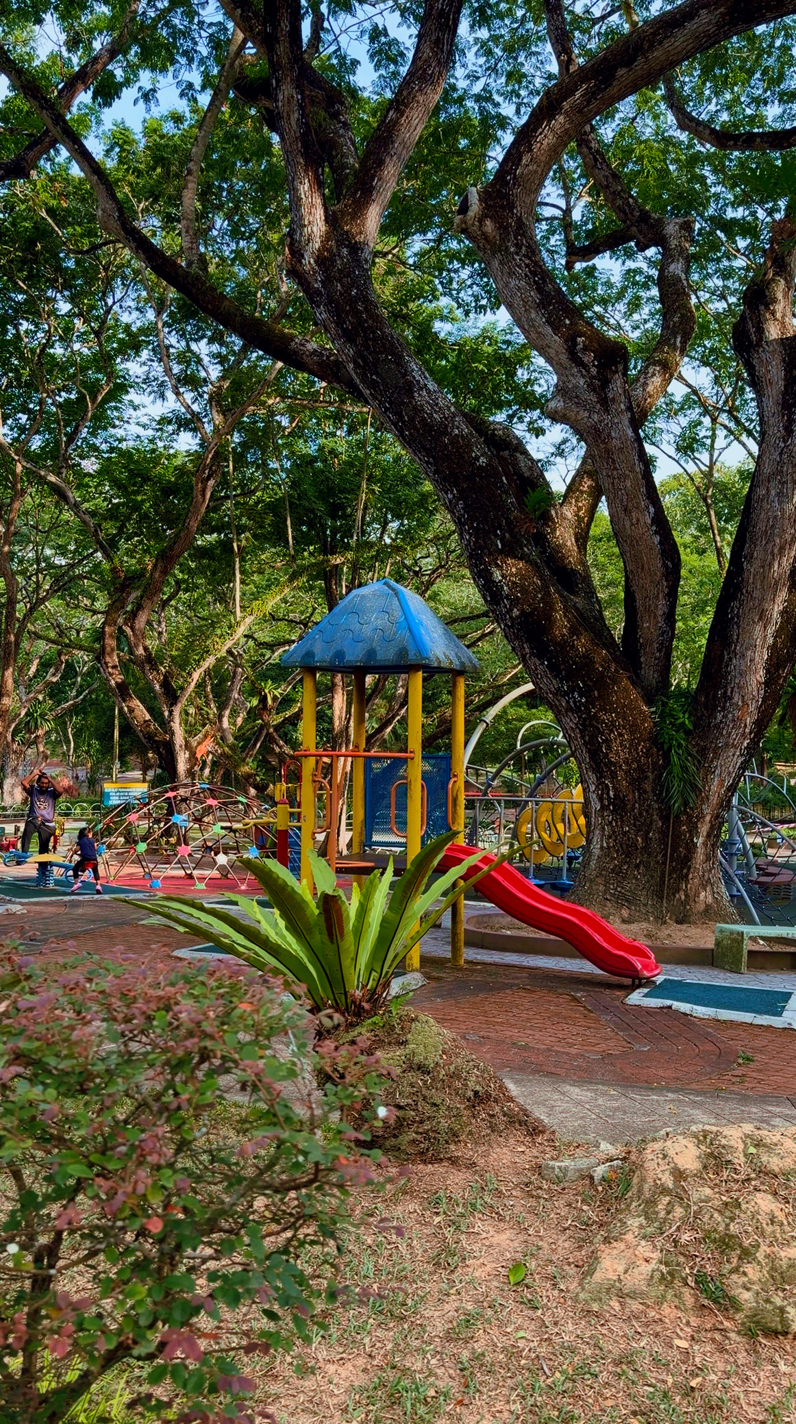 Small section of the huge play park