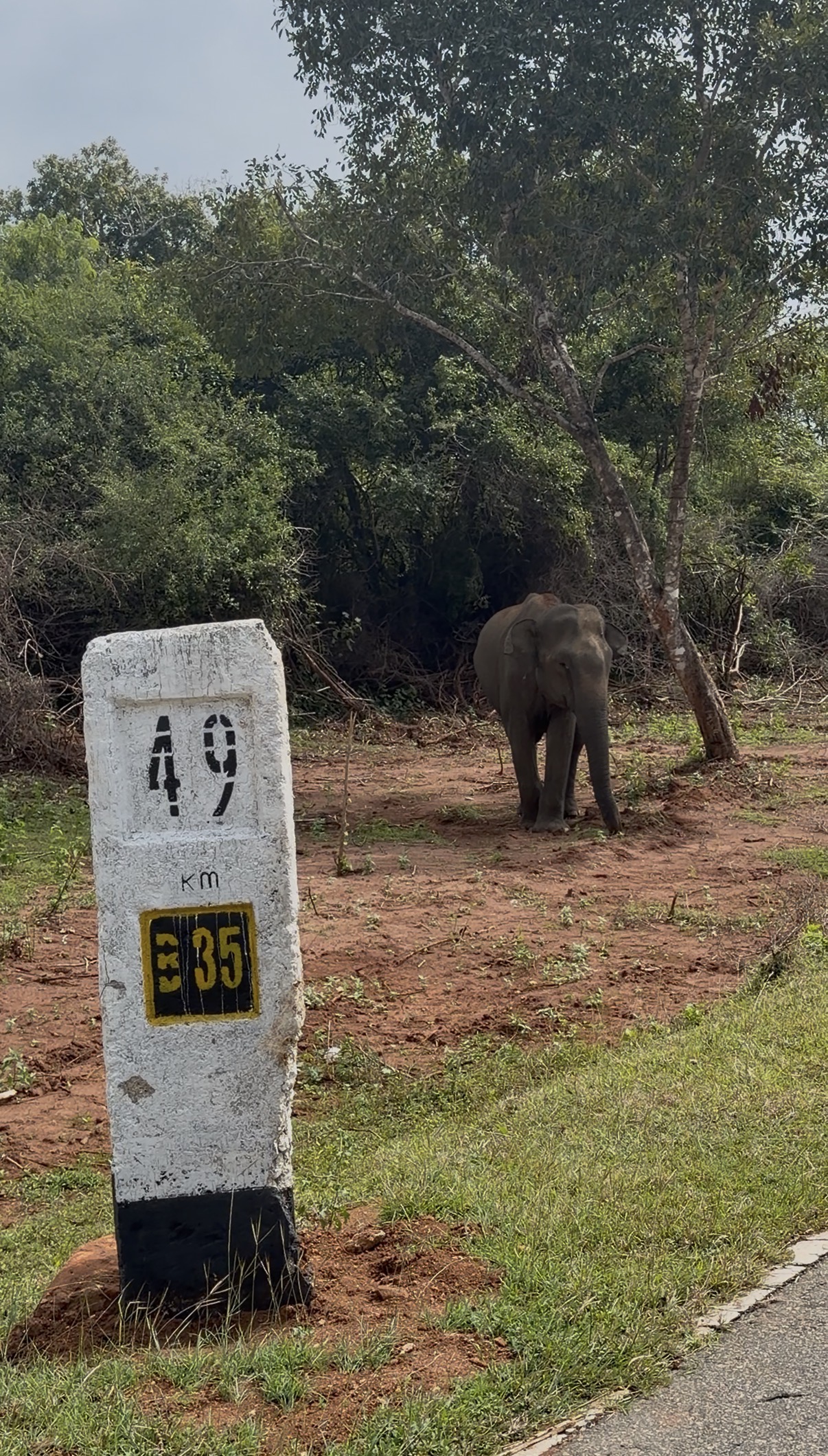 Driving Sri Lanka’s B35 Road Was Better Than Our Safari
