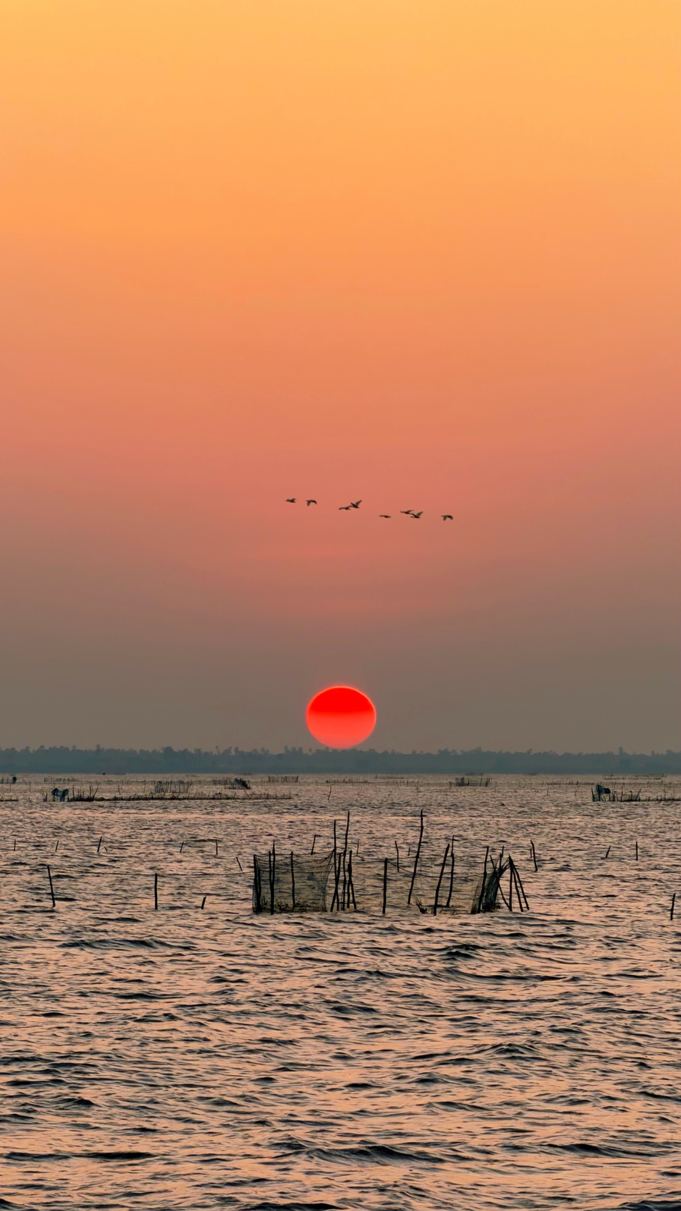 Is Jaffna Worth the Drive? Our Honest Experience in Northern Sri Lanka