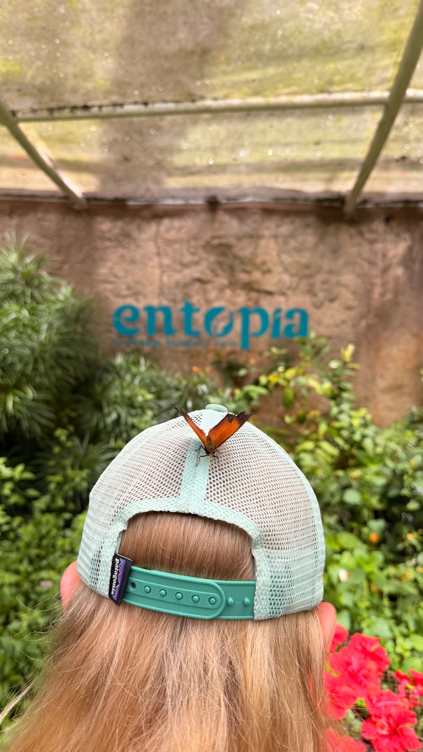 Entopia Penang Ended Up Being One of Our Favourite Days in Malaysia