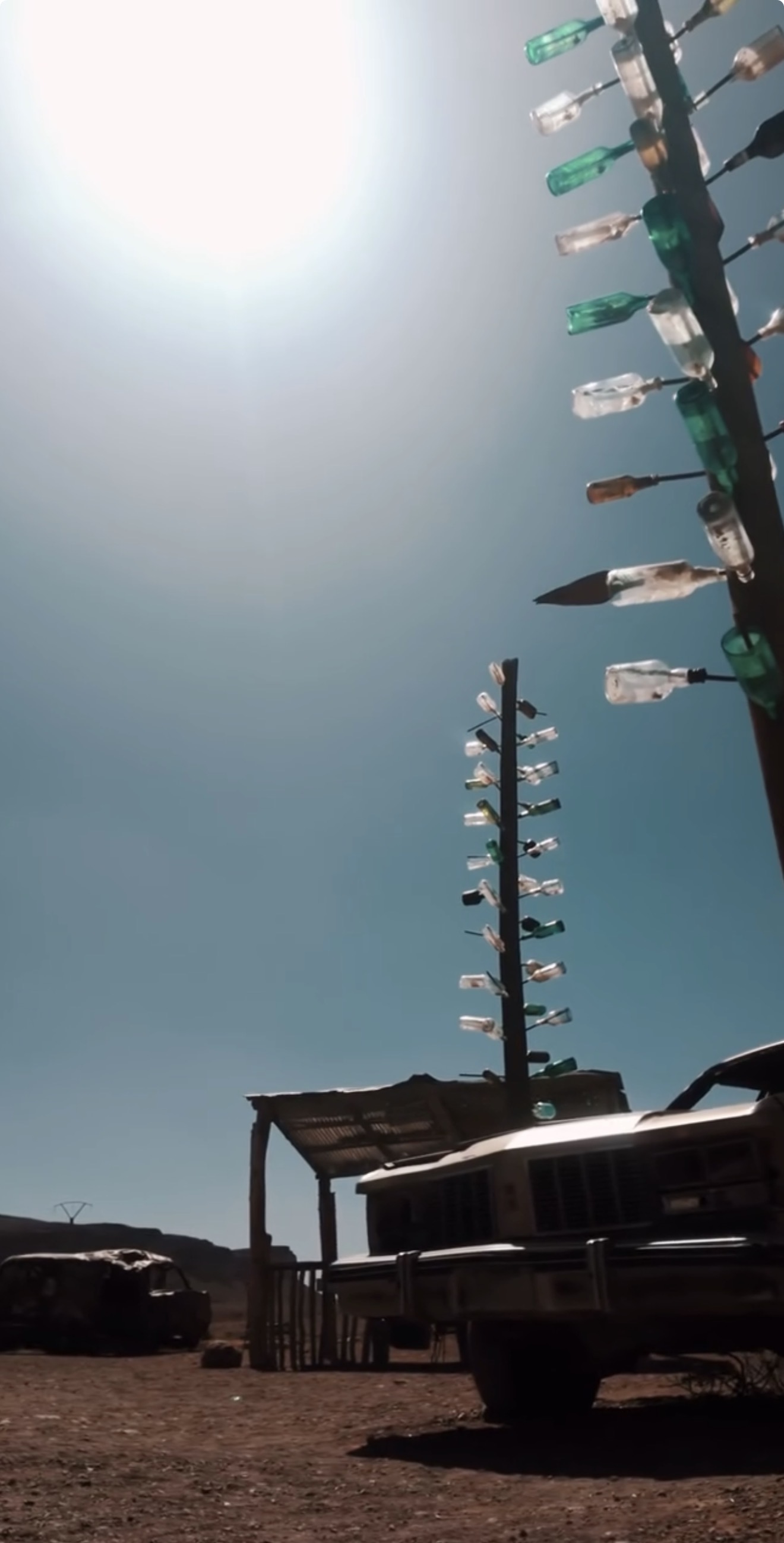 Used Bottle totems